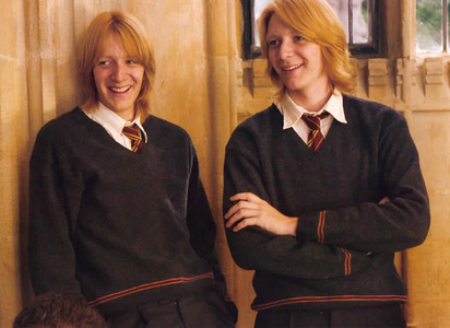 i like Fred & Geprge Weasley.
i would like a fanart of the Weasley family (if it hasn't been done be