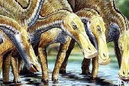  j-jaxartosaurus