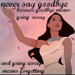  Never say goodbye,because goodbye means going away and going away means forgetting ~Peter Pan~