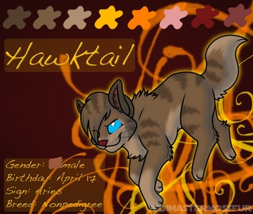  Lolz. Could I join? I would like to be Hawktail, an amber tom with black stripes and ocean blue eyes.