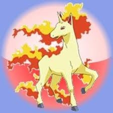  My first favoriete pokemon was Rapidash.But then Johto,Hoehn, and Sinnoh come out and began to like ot