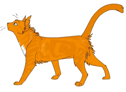  OOH!! I have another cat!! Firepaw- an jeruk, orange tabby tom with a white chest and bright green eyes. Her