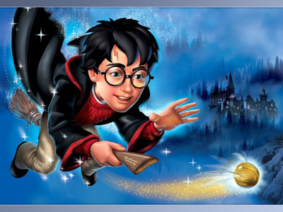  harry chasing the snitch
