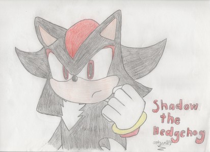  Ok, I'm not the best drawer. ^^; I don't draw Sonic characters either. I'm still drawing the official