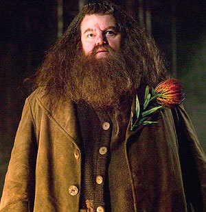 Here's Hagrid.

@LUNAFAN: Mel4ever has been suspended, you won't ever be able to get into her profile