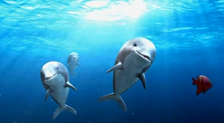 LOL! I was actually thinking of Prince Carlos, never mind! xD
Here we go! Three non-MT dolphins and a