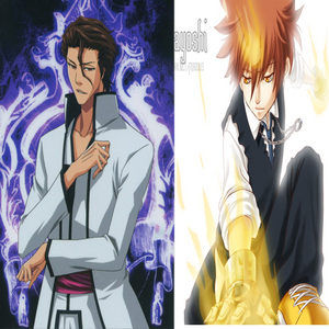  I think Aizen and Tsuna, coz they seems to be a reasonable couple :)