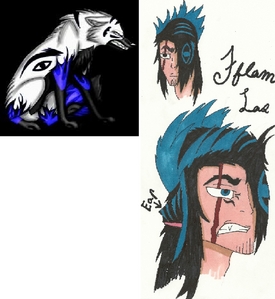 Name: Fflam Las (Blue Flame) Age: 20 Gender: Male Race: Lycanthrope Appearance: Refer to the pict