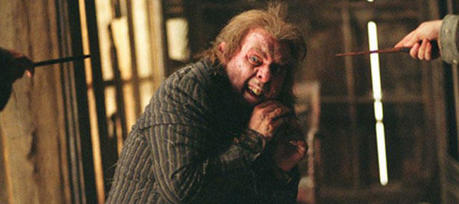 In English, the name "Peter Pettigrew" contains the word "pet" twice.  Was this some kind of bizarre 