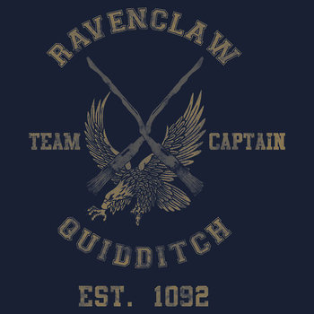 We need to get a GREAT quidditch team if we wanna win this year! My name is Maisie and I am one of th