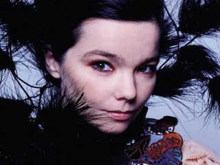  Björk Guðmundsdóttir, known as Björk is an Icelandic singer-songwriter, occasional actress, música