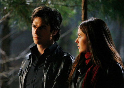 I found this DELENA PETITION in the DAMON SALVATORE CLUB OF FANPOP!! 
http://www.fanpop.com/site/go?