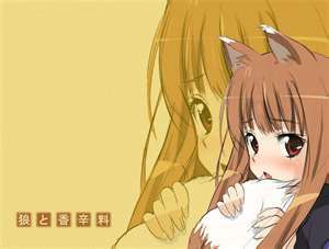  i have watche spice and lobo in japaness and english. in the dub it says her name is holo in the eng