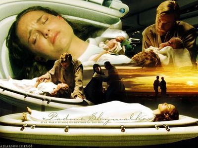  Although we all knew she had to die I think it was stupid that george lucas killed off the female lea