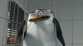 penguins-of-madagascar - GET ME OUT OF HERE!! screencap