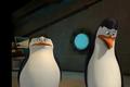 penguins-of-madagascar - Awww, they look so concerned screencap