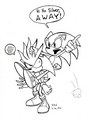 HI HO SILVER !!!! - sonic-shadow-and-silver photo