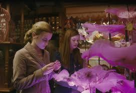 Love potions