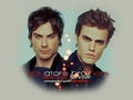 the-vampire-diaries - The Brothers wallpaper