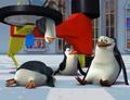 penguins-of-madagascar - You're okay, Skippa? screencap
