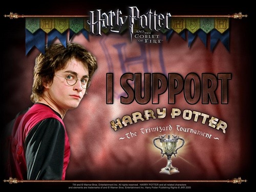  i support Harry Potter