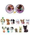 the value 12 pack figures - puppy-in-my-pocket photo