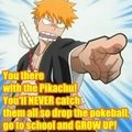 you'll never catch them all - bleach-anime photo