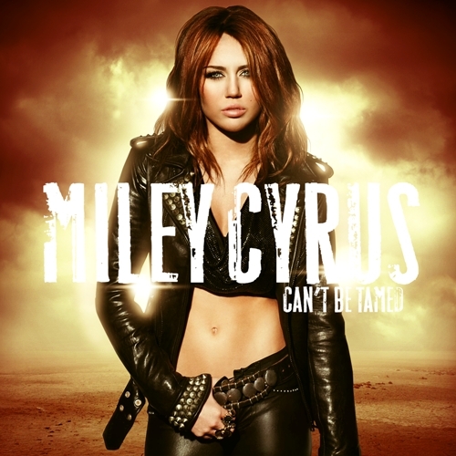  Can't Be Tamed [FanMade Album Cover]