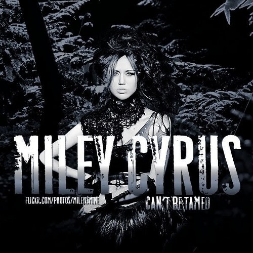 Can't Be Tamed [FanMade Album Cover]