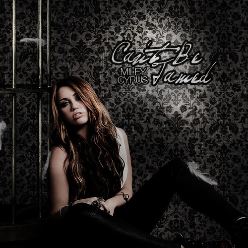 Can't Be Tamed [FanMade Album Cover]