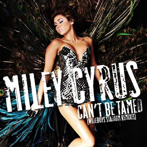  Can't Be Tamed (Wideboys Stadium Remixes) [FanMade Single Cover]