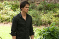 Damon in The Vampire Diaries season 2 - the-vampire-diaries photo