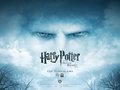 Deathly Hallows - harry-potter photo