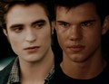 Jacob and Edward - twilight-series photo