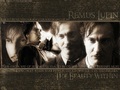 remus-lupin - Remus Lupin wallpaper