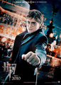 DH poster - harry-potter photo