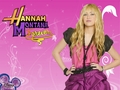 hannah-montana - Hannah Montana Forever wallpaper