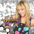 Hannah Montana Series - hannah-montana photo