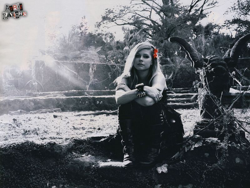 New Forbidden Rose Picture! - Avril Lavigne 800x601