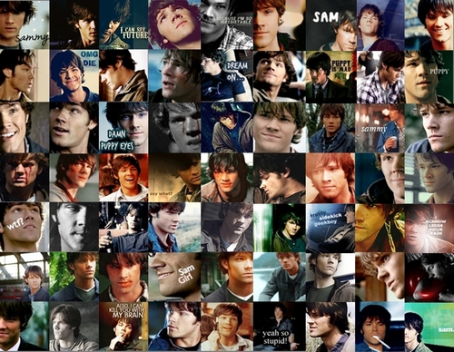  Sammy icon collage