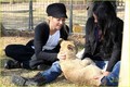 Shakira Gives Lions Share Of Love - shakira photo