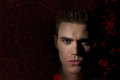 Stefan - the-vampire-diaries photo