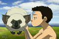sheep - avatar-the-last-airbender photo