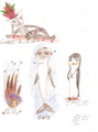 All my female OCs - penguins-of-madagascar fan art