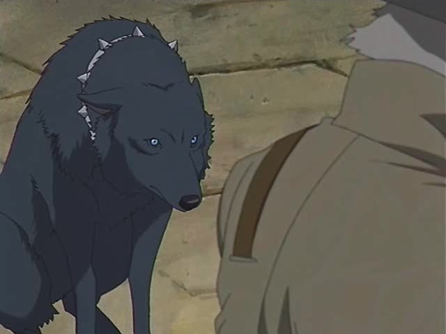 Blue from Wolf's Rain - wide 1