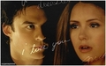 Damon/Elena - Eternal Love ♥ - tv-couples photo