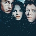 Harry, Hermione & Ron - harry-ron-and-hermione icon
