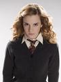 Hermione Granger - harry-potter photo