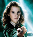 Hermione's presence - harry-potter photo