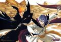 Ichigo vs. Rukia - bleach-anime photo